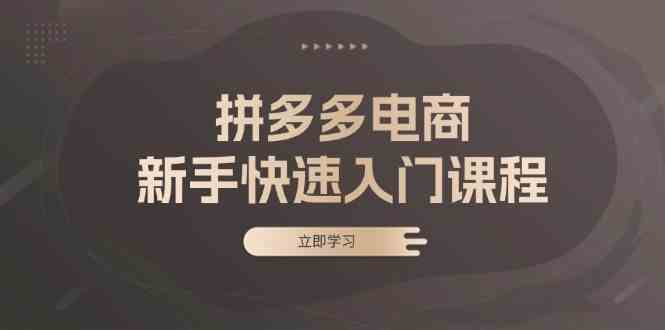 拼多多电商新手快速入门课程：涵盖基础、实战与选款，助力小白轻松上手-虫2小屋