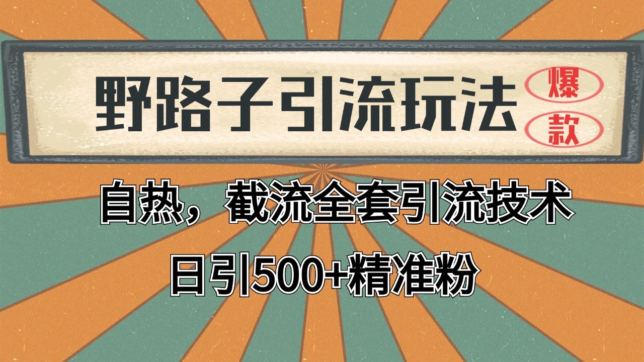 抖音小红书视频号全平台引流打法，全自动引流日引2000+精准客户-虫2小屋