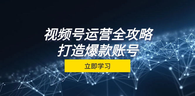 视频号运营全攻略，从定位到成交一站式学习，视频号核心秘诀，打造爆款账号-虫2小屋