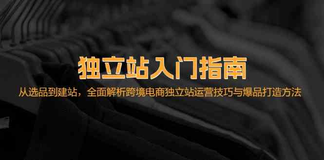独立站入门指南：从选品到建站，全面解析跨境电商独立站运营技巧与爆品打造方法-虫2小屋