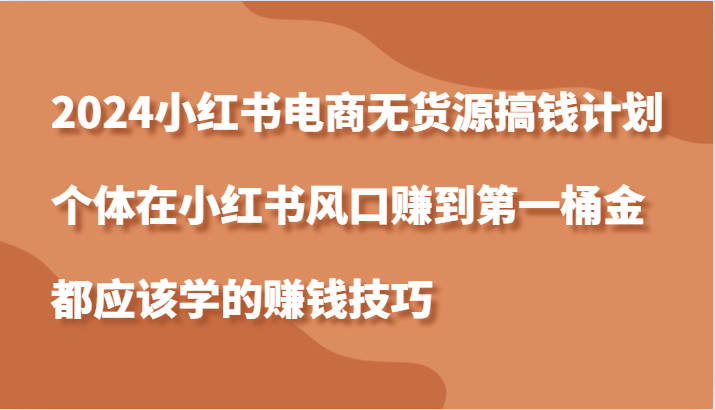 2024小红书电商无货源搞钱计划，个体在小红书风口赚到第一桶金应该学的赚钱技巧-虫2小屋