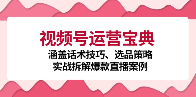 视频号运营宝典：涵盖话术技巧、选品策略、实战拆解爆款直播案例-虫2小屋