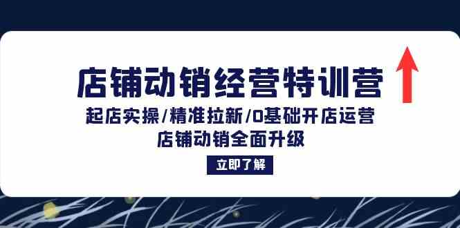 店铺动销经营特训营：起店实操/精准拉新/0基础开店运营/店铺动销全面升级-虫2小屋