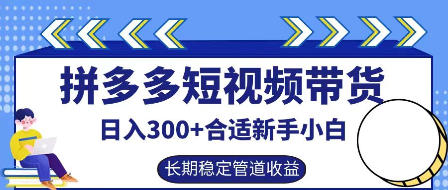 拼多多短视频带货日入300+，实操账户展示看就能学会-虫2小屋