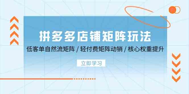 拼多多店铺矩阵玩法：低客单自然流矩阵 / 轻付费矩阵 动销 / 核心权重提升-虫2小屋