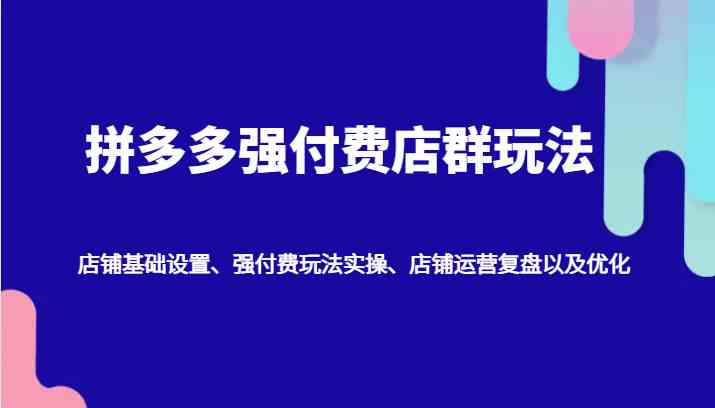 拼多多强付费店群玩法：店铺基础设置、强付费玩法实操、店铺运营复盘以及优化-虫2小屋