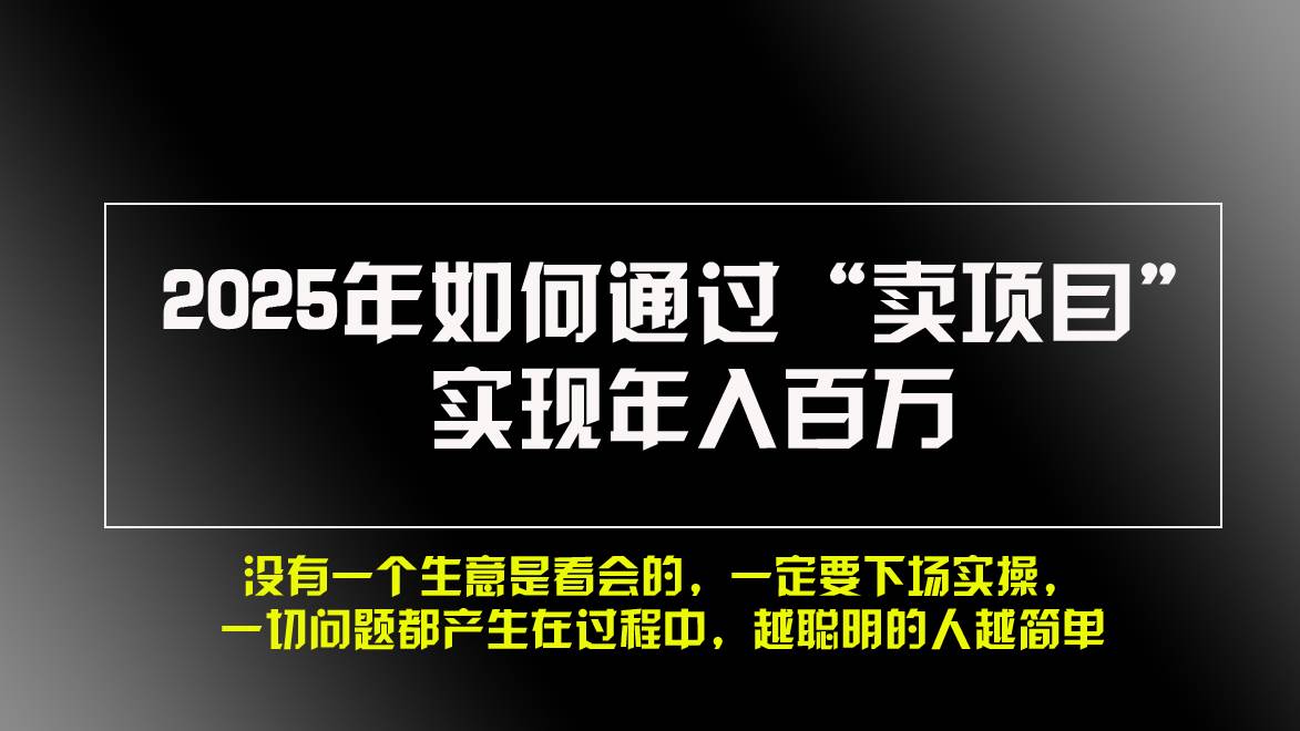 （13468期）2025年如何通过“卖项目”实现年入百万，做网赚必看！！-虫2小屋