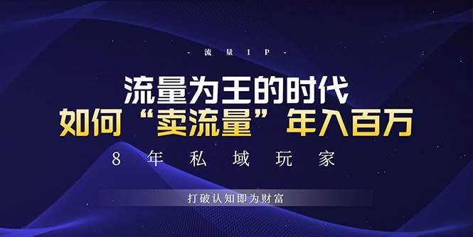（13433期）未来如何通过“卖流量”年入百万，跨越一切周期绝对蓝海项目-虫2小屋