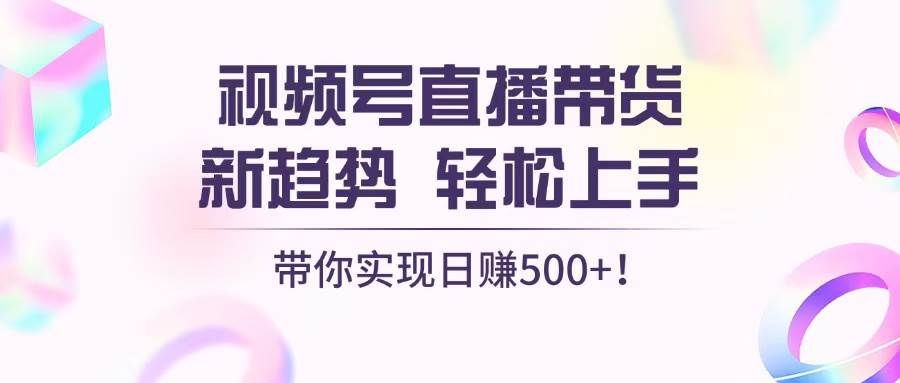 （13370期）视频号直播带货新趋势，轻松上手，带你实现日赚500+-虫2小屋