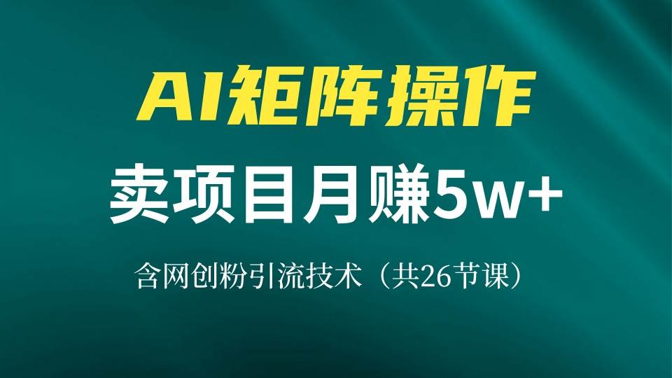 （13335期）网创IP打造课，借助AI卖项目月赚5万+，含引流技术（共26节课）-虫2小屋
