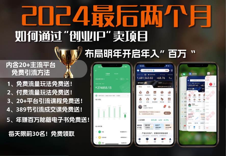 （13322期）2024最后两个月如何通过”创业IP“卖项目年入”百万“,创业IP+最强引流…-虫2小屋