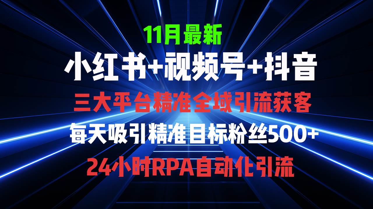（13259期）全域多平台引流私域打法，小红书，视频号，抖音全自动获客，截流自…-虫2小屋