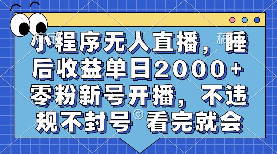 （13251期）小程序无人直播，睡后收益单日2000+ 零粉新号开播，不违规不封号 看完就会-虫2小屋