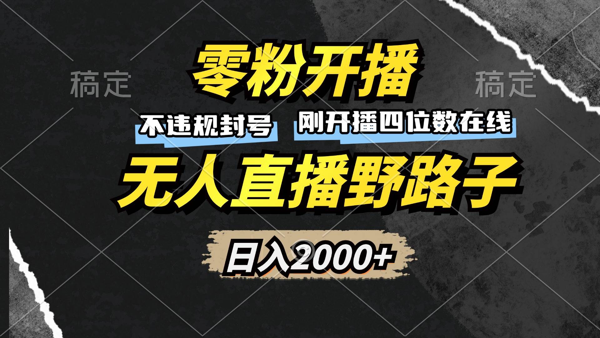 （13292期）零粉开播，无人直播野路子，日入2000+，不违规封号，躺赚收益！-虫2小屋