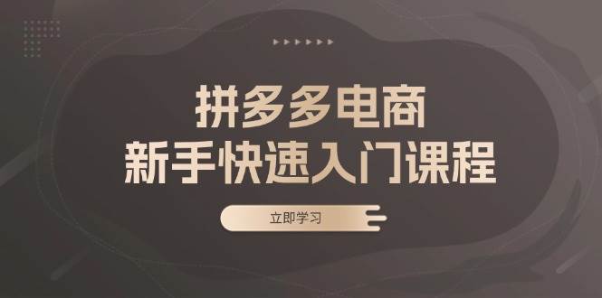 （13289期）拼多多电商新手快速入门课程：涵盖基础、实战与选款，助力小白轻松上手-虫2小屋
