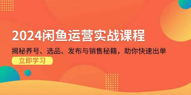 （13290期）2024闲鱼运营实战课程：揭秘养号、选品、发布与销售秘籍，助你快速出单-虫2小屋