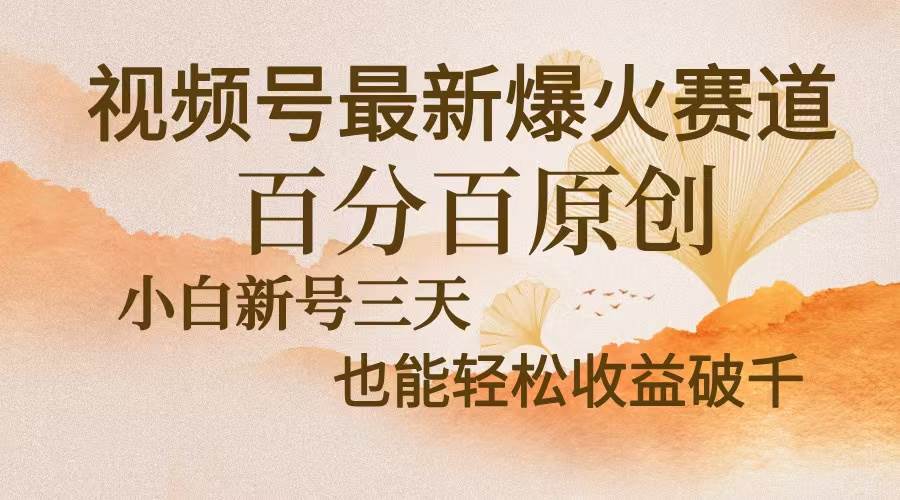 （13225期）视频号最新爆火赛道，中老年粉深信不疑，百分百原创，新号三天收益轻松…-虫2小屋