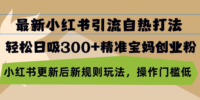 （13145期）最新小红书引流自热打法，轻松日吸300+精准宝妈创业粉，小红书更新后新…-虫2小屋