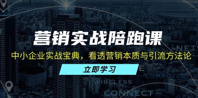 （13146期）营销实战陪跑课：中小企业实战宝典，看透营销本质与引流方法论-虫2小屋