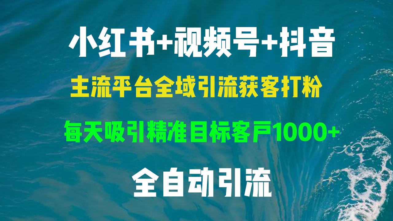 （13104期）小红书，视频号，抖音主流平台全域引流获客打粉，每天吸引精准目标客户…-虫2小屋