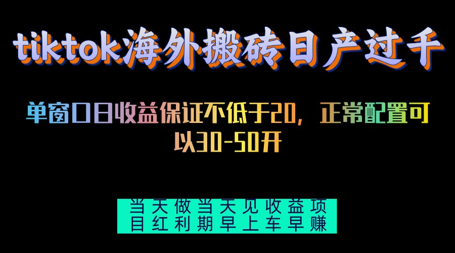 （13079期）tiktok海外搬砖项目单机日产过千当天做当天见收益-虫2小屋