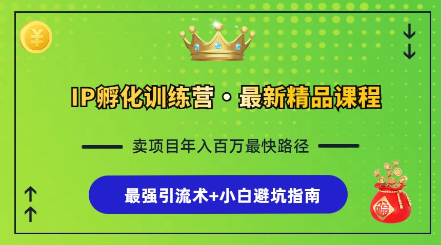 （13055期）IP孵化训练营，知识付费全流程+最强引流术+小白避坑指南-虫2小屋