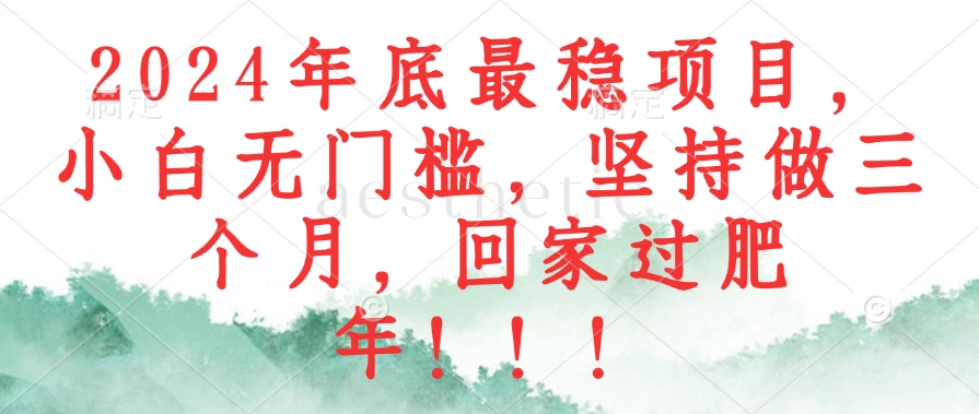 （12970期）2024年底最稳项目，小白无门槛，坚持做三个月，回家过肥年！！！-虫2小屋