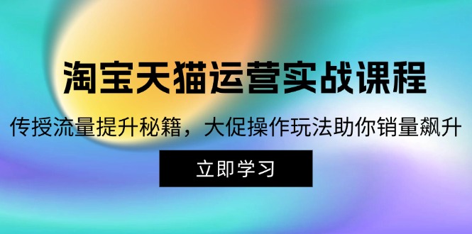 （12959期）淘宝&天猫运营实战课程，传授流量提升秘籍，大促操作玩法助你销量飙升-虫2小屋