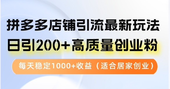 （12893期）拼多多店铺引流最新玩法，日引200+高质量创业粉，每天稳定1000+收益（…-虫2小屋