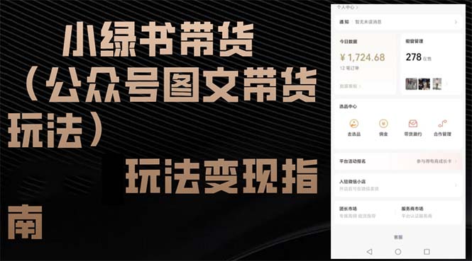 （12902期）小绿书带货（公众号图文带货玩法）玩法变现指南-虫2小屋
