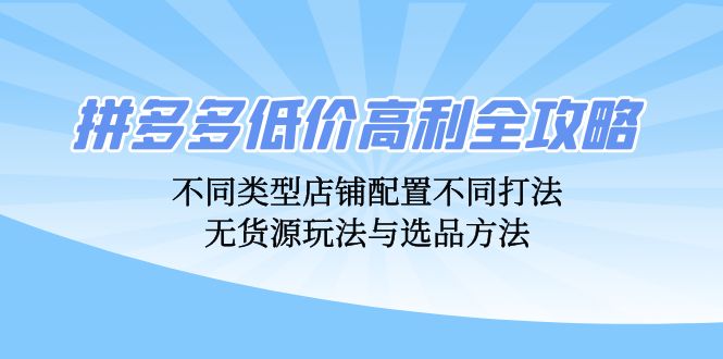 （12897期）拼多多低价高利全攻略：不同类型店铺配置不同打法，无货源玩法与选品方法-虫2小屋