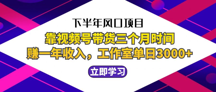 下半年风口项目，靠视频号带货三个月时间赚一年收入，工作室实测单日3…-虫2小屋
