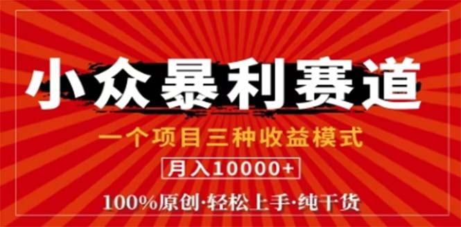 （12756期）视频号最新爆火赛道，三种可收益模式，0粉新号条条原创条条热门 日入1000+-虫2小屋
