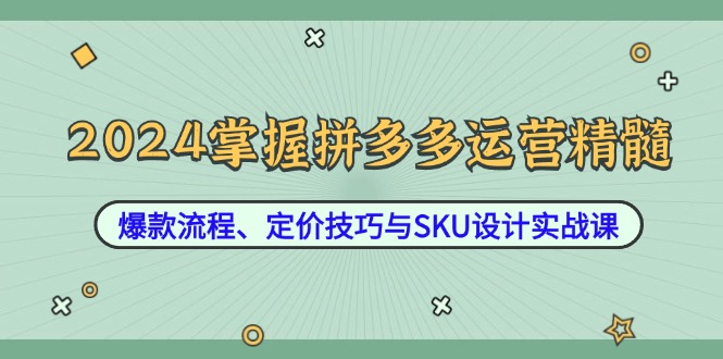 （12703期）2024掌握拼多多运营精髓：爆款流程、定价技巧与SKU设计实战课-虫2小屋