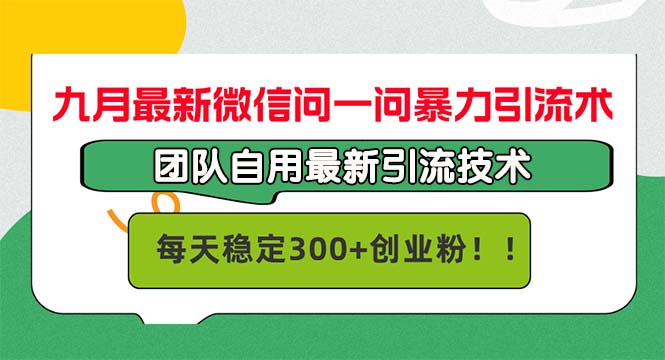 （12735期）九月最新微信问一问暴力引流术，团队自用引流术，每天稳定300+创…-虫2小屋
