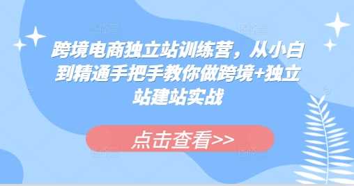 跨境电商独立站训练营，从小白到精通手把手教你做跨境+独立站建站实战-虫2小屋