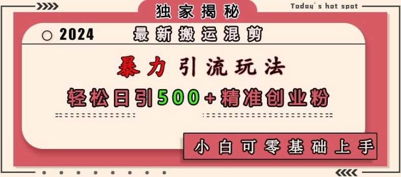 最新搬运混剪暴力引流玩法，轻松日引500+精准创业粉，小白可零基础上手-虫2小屋