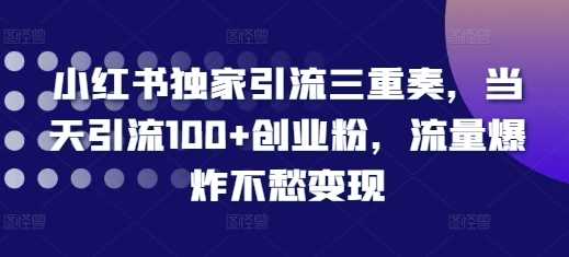 小红书独家引流三重奏，当天引流100+创业粉，流量爆炸不愁变现【揭秘】-虫2小屋