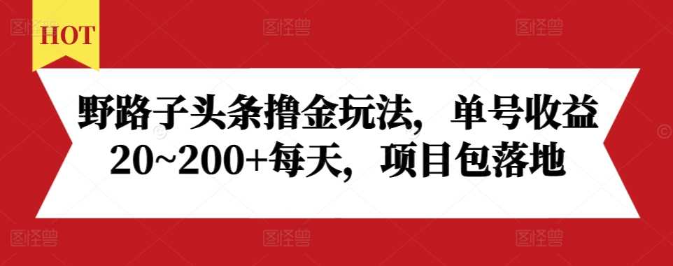 野路子头条撸金玩法，单号收益20~200+每天，项目包落地-虫2小屋
