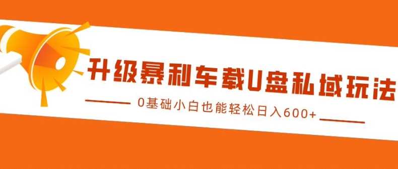 升级暴利车载U盘私域玩法，0基础小白也能轻松日入多张【揭秘】-虫2小屋