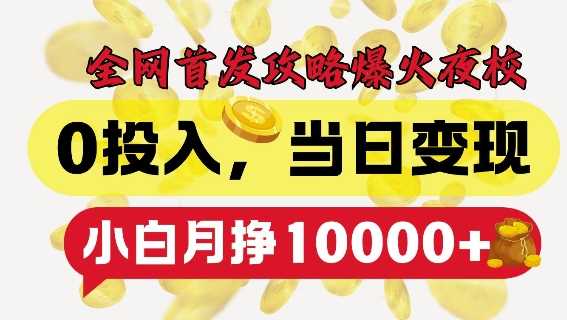 全网首发爆火夜校，0投入，当日变现，小白轻松月入1w+【揭秘】-虫2小屋