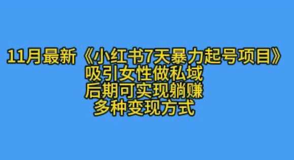 K总部落11月最新小红书7天暴力起号项目，吸引女性做私域【揭秘】-虫2小屋