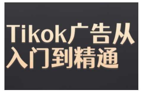 Tiktok Ads实操教程，Tiktok广告从入门到精通-虫2小屋