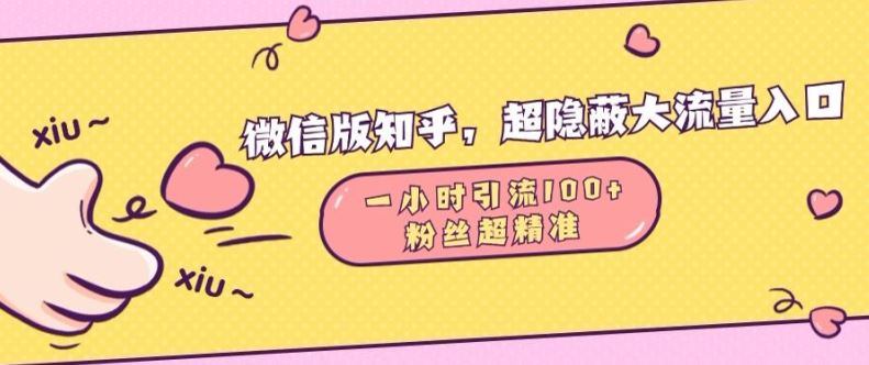 微信版知乎，超隐蔽流量入口1小时引流100人，粉丝质量超高【揭秘】-虫2小屋