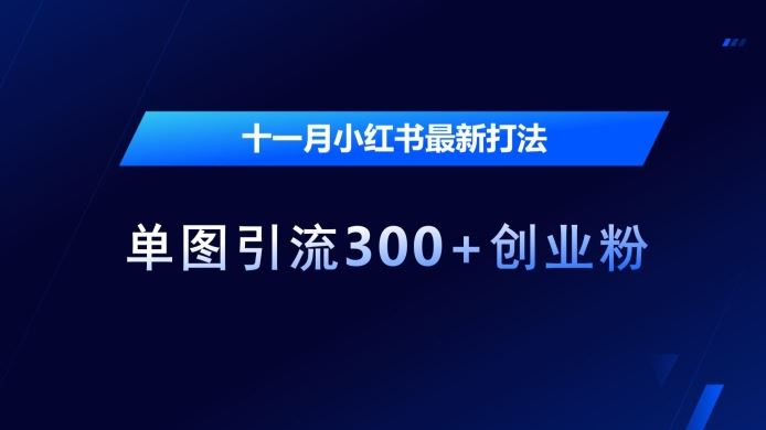 十一月小红书最新打法，单图引流300+创业粉【揭秘】-虫2小屋