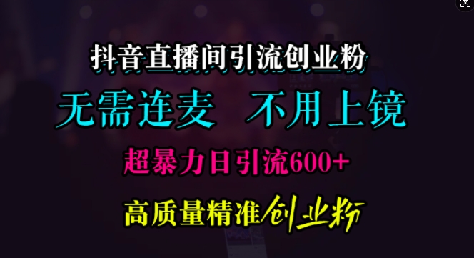 抖音直播间引流创业粉，无需连麦、无需上镜，超暴力日引流600+高质量精准创业粉【揭秘】-虫2小屋