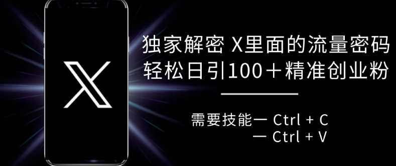 独家解密 X 里面的流量密码，复制粘贴轻松日引100+-虫2小屋