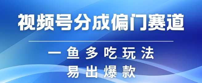 视频号创作者分成计划偏门类目，容易爆流，实拍内容简单易做【揭秘】-虫2小屋