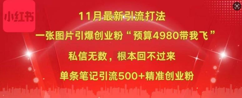 小红书11月最新图片打粉，一张图片引爆创业粉，“预算4980带我飞”，单条引流500+精准创业粉-虫2小屋