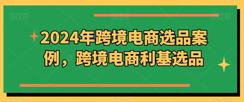 2024年跨境电商选品案例，跨境电商利基选品（更新11月）-虫2小屋